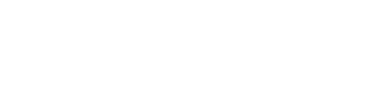 Digitální audit